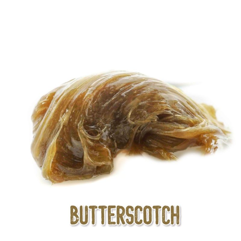 butterscotch rosin