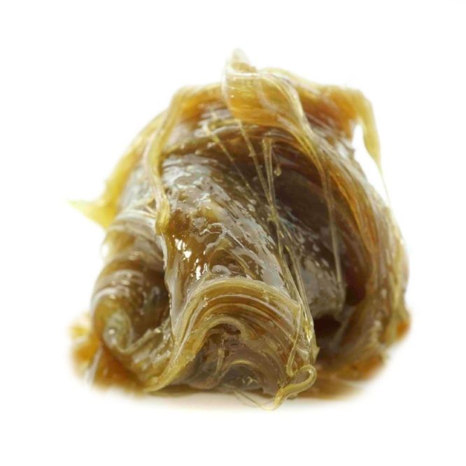 buy butterscotch rosin