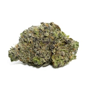 La-Confidential