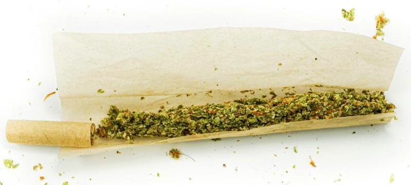 weed inside of a rolling paper with a filter | unrolled joint