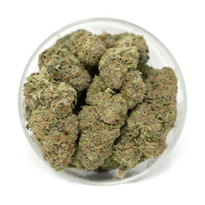 Bulk Blue Magoo Weed