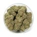 Bulk Blue Magoo Weed