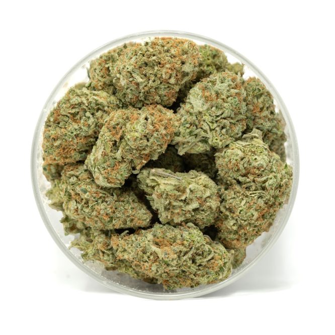 Jilly-Bean-Marijuana-Buds-2