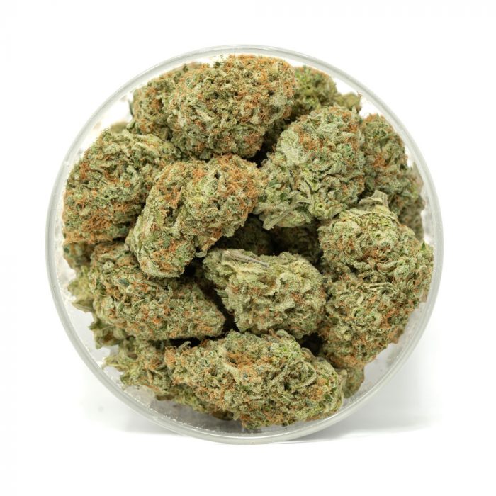 Jilly-Bean-Marijuana-Buds-2