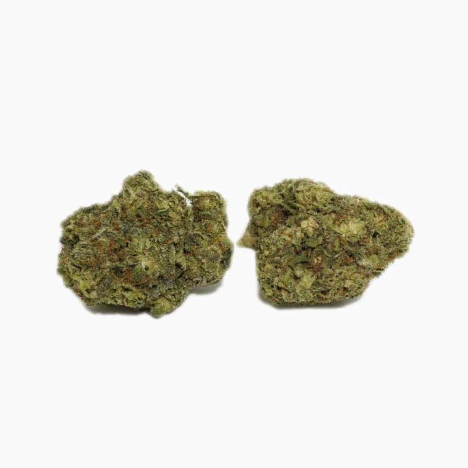 moby dick weed
