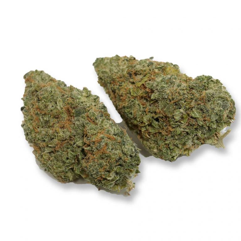 Mimosa Marijuana Buds