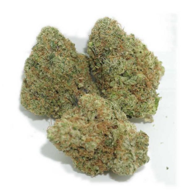 Birthday Cake Strain | Weed-Deals | Bulk Dispensary Canada