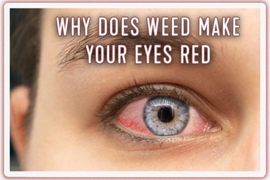 Why Does Weed Make Your Eyes Red | Weed-Deals