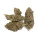 Slurricane Marijuana Buds