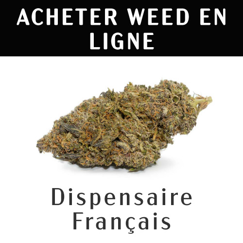 Acheter Cannabis En Ligne Quebec Dispensaire Weed Deals