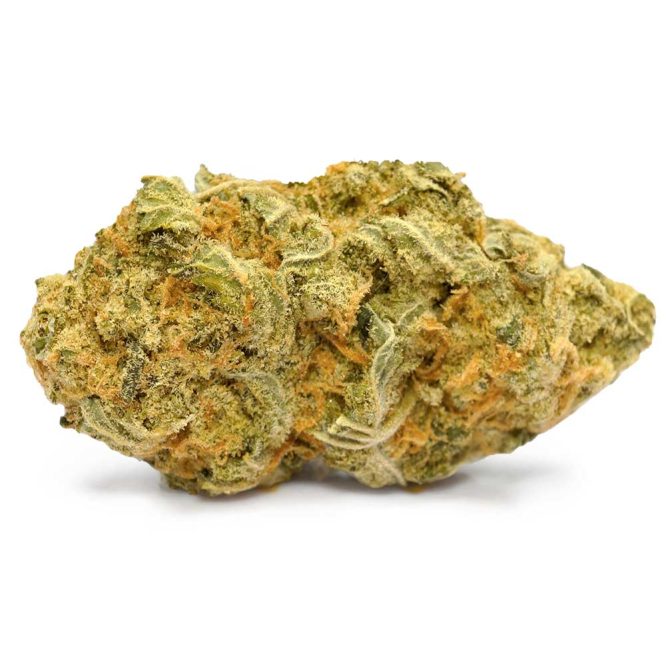 Money Maker Strain