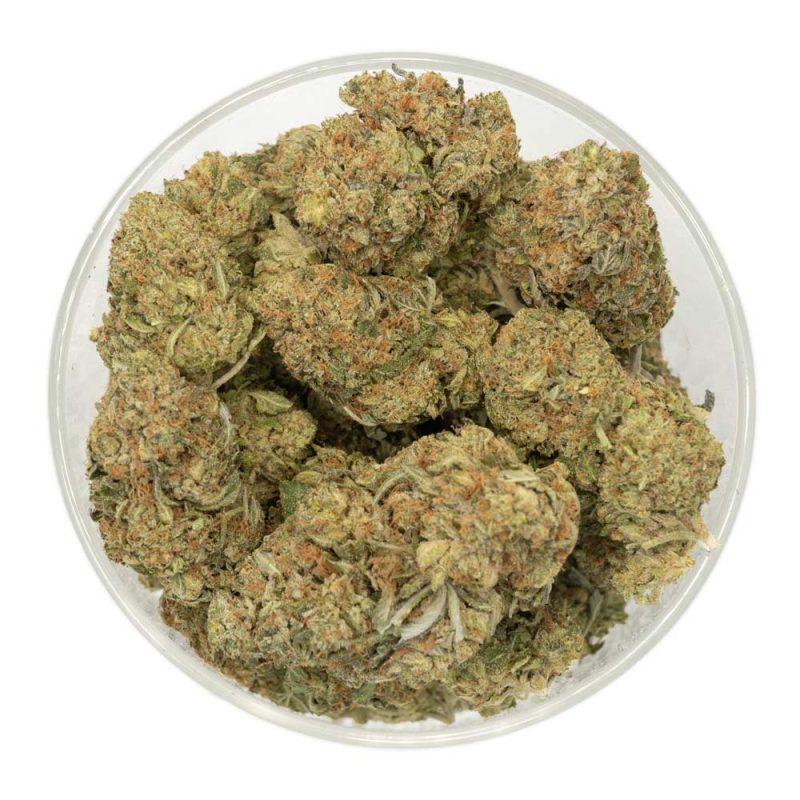 Holy-Grail-Marijuana-Buds