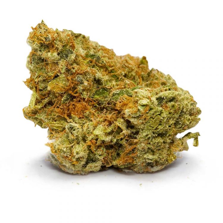 Sundae Driver Strain | Buy Sundae Driver Cannabis Strain