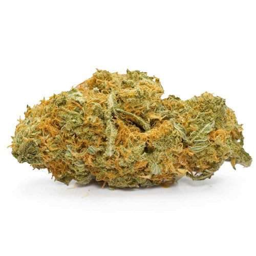 Sunset-Sherbet Sunset-Sherbet strain