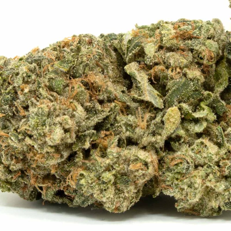 romulan-cannabis-bud