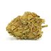 Afghan-Kush