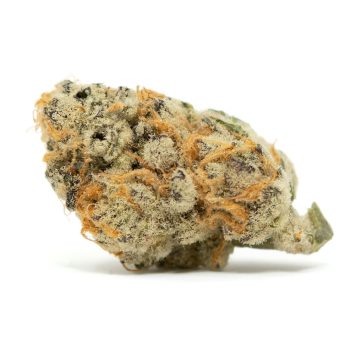 Purple-Drank Strain