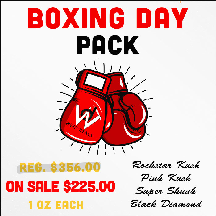 Boxing-Day-Pack