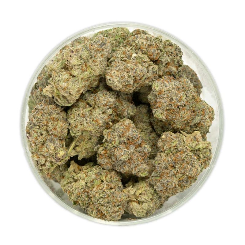 Blueberry-Pankcake-Marijuana-Buds