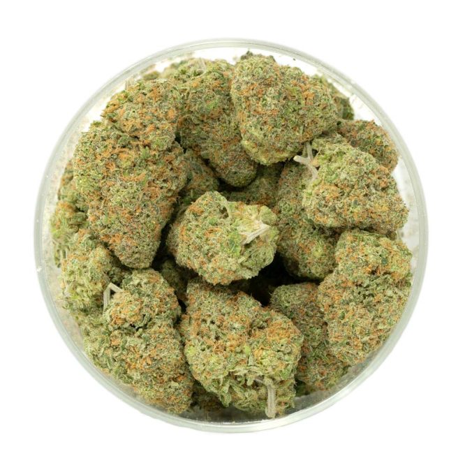 White-Rhino-Marijuana-Buds