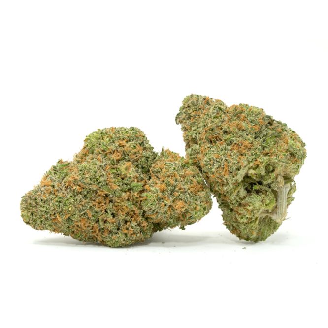 White-Rhino-Strain