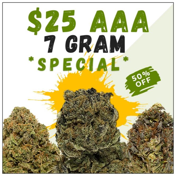AAA-7-Gram-Special