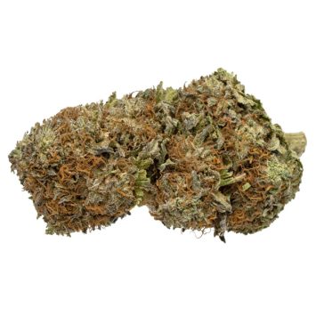 Grand-Daddy-Purple