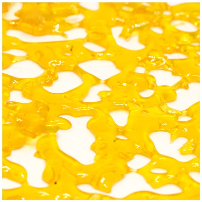 Master-Kush-Ultra-Shatter
