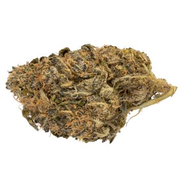 Slurricane-Strain