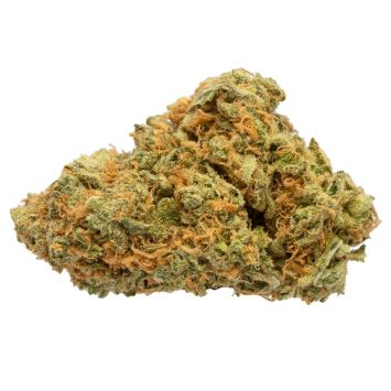 Buddha-Haze
