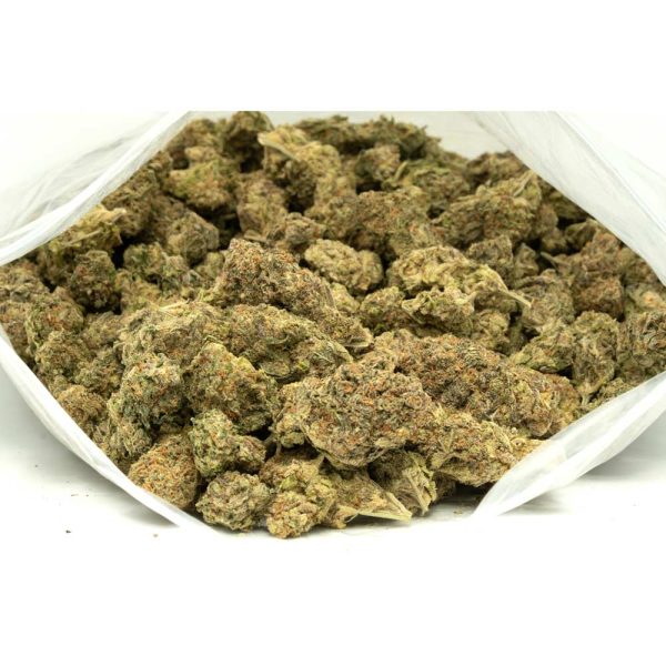 Gelato 33 | Buy Gelato 33 Strain Online At Weed-Deals