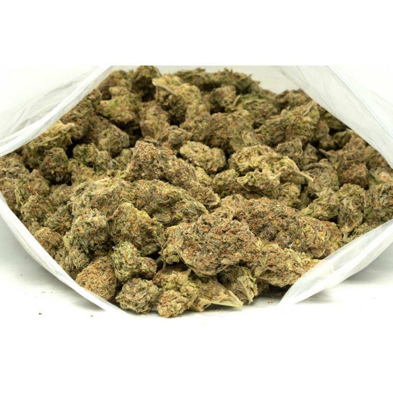 Gelato 33 | Buy Gelato 33 Strain Online At Weed-Deals