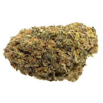 Gelato-33-Strain