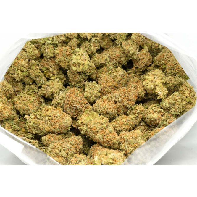 Strawberry-Fields-Marijuana-Buds