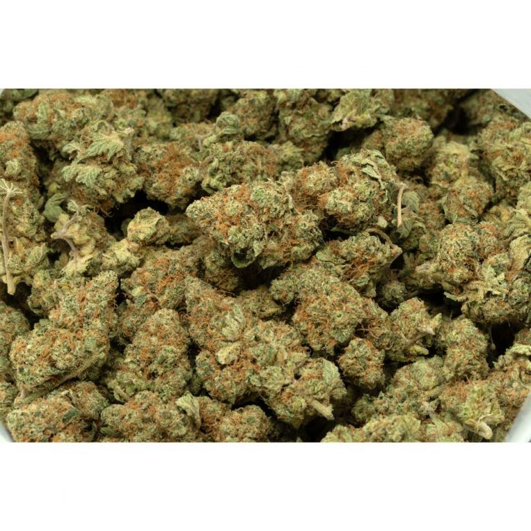 Buy Sugar Cookies Marijuana Strain at WeedDeals Dispensary