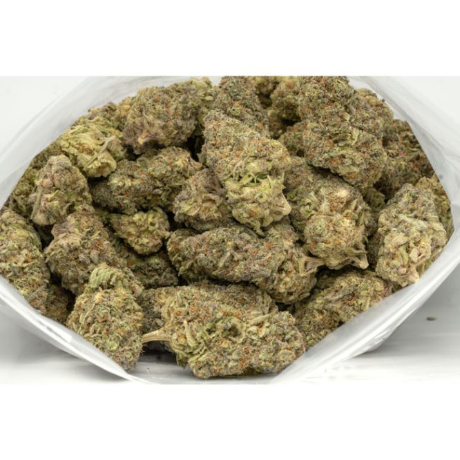 Grape-Stomper-Marijuana-Buds