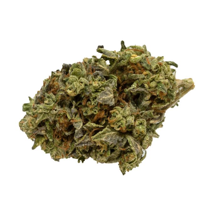 Critical-Kush