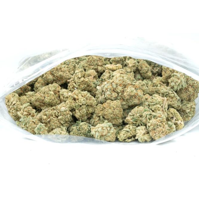 Glue Sniffer Marijuana Buds
