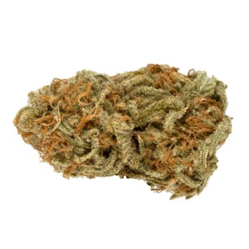 Lemon-Cake-Strain