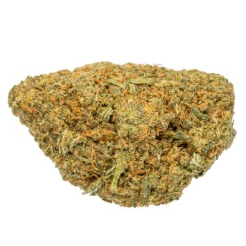 Lemon-Jack
