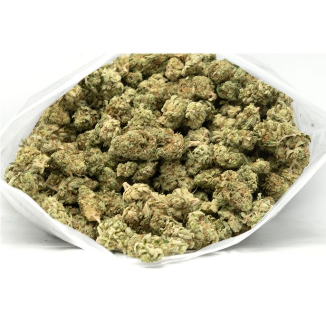 gorilla cookies marijuana buds