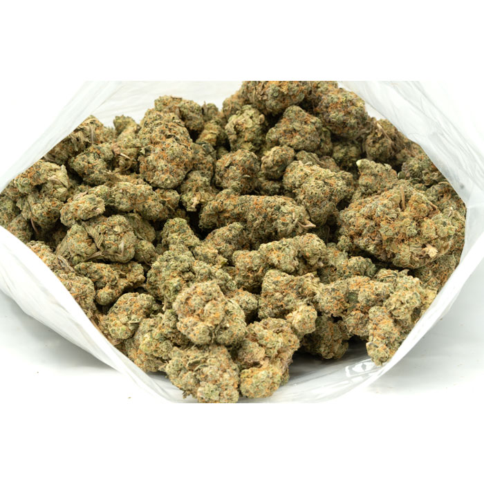 Animal-Cookies-Marijuana-Buds