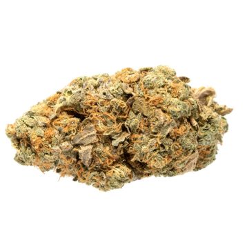 Animal-Cookies-Strain