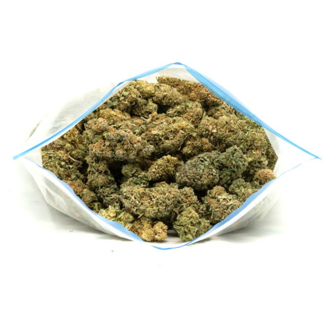 Blue-Haze-Marijuana-Buds