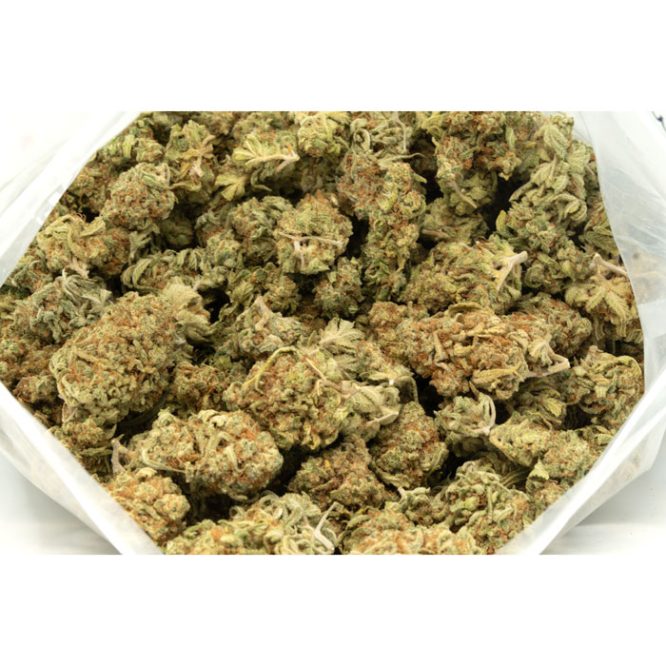 Island-Sweet-Skunk-Marijuana-Buds