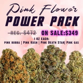 pink-flower-power-pack