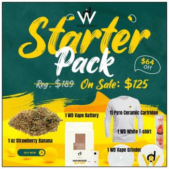 wd-starter-pack-700x700