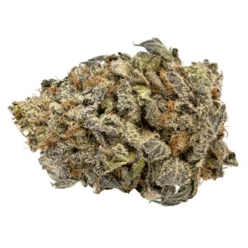 Purple-Urkle