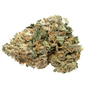 Frosty-Kush