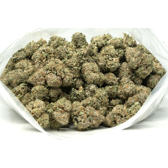 Frosty-Kush-Marijuana-Buds